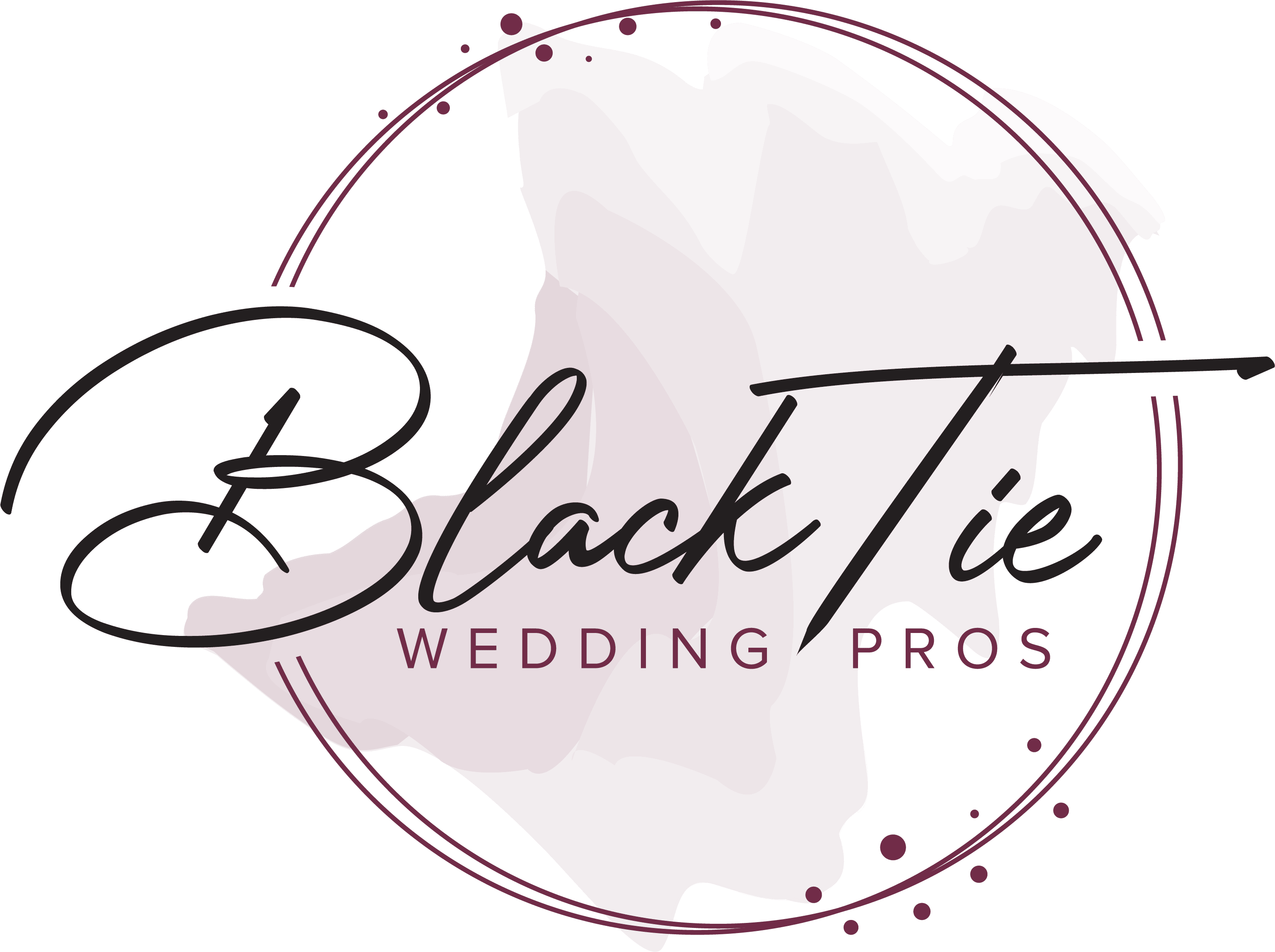 Black Tie Wedding Pros Presents: A Master Class with Alan Berg!
